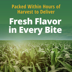 Del Monte plated corn with butter and pepper showing a simple tasty side