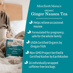 Earth Mama teabag closeup highlighting mesh and fresh ginger aroma benefits
