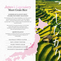 East and Else close-up of uncooked Koshihikari grains highlighting purity