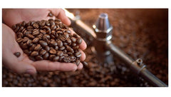 ECOAND ATOMY brewed cup lifestyle with steam demonstrating aromatic Arabica flavor