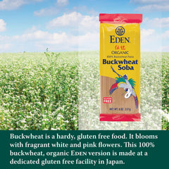 Eden cooked soba in a steaming soup bowl, brand visible and comfort meal appeal