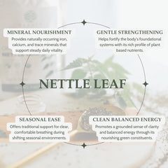 Elanen Naturals brewed nettle tea in a cup demonstrating rich color and aroma