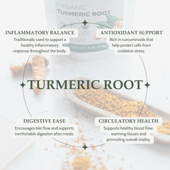 Elanen Naturals macro texture of dried turmeric root, shows natural potency