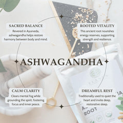 Elanen Naturals brewed ashwagandha tea in cup illustrating warm infusion