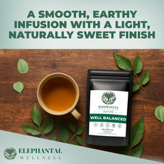 Elephantal Wellness Ashwagandha root close-up conveying adaptogenic support