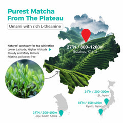 EMERAIL matcha latte with foam demonstrating creamy beverage versatility