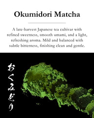 EMPTEA matcha latte in bowl with froth, demonstrating creamy texture and balanced flavor