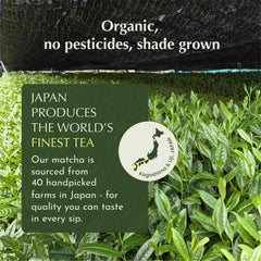 Encha spoon measuring matcha illustrating easy portioning and consistent servings