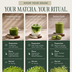 Encha matcha iced latte with froth highlighting cool, refreshing energy
