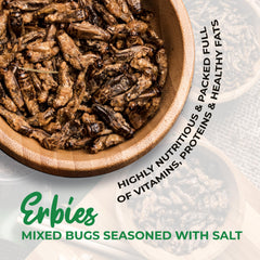 Erbies close-up texture of seasoned insects highlighting crunchy coating and flavor