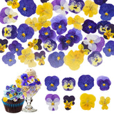 Fangkic front packaging showing sealed 70-piece edible flower set and label benefits