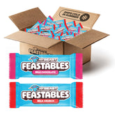 Feastables MrBeast front packaging showing 2 lb box and variety mix