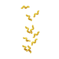 Felicetti close-up spiral texture of raw cavatappi highlighting sauce grip and rough surface