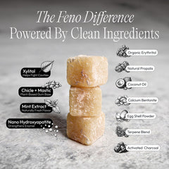 Feno piece in hand to show size and hand-portioned scale benefit