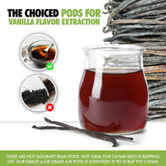 FITNCLEAN close-up of vanilla bean texture showing dry aromatic surface for better extraction