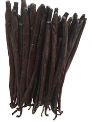 FITNCLEAN close-up of a plump vanilla pod texture conveying oily, high-vanillin quality