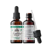 FLORIDA HERBS front bottle shot showing 2 oz plantain tincture, clear labeling and benefit
