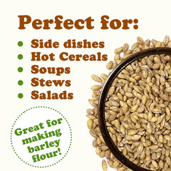 Food to Live hulled barley simmering in pot demonstrating hearty cooking and texture benefit