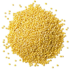 Food to Live close-up of raw hulled millet seeds showing texture and whole-grain quality