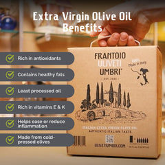 Frantoio Uliveti Umbri olive grove in Umbria illustrating authentic regional sourcing