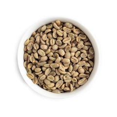 Fresh Roasted Coffee close-up of green Yirgacheffe beans showing uniform size and roasting potential