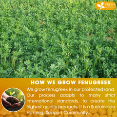 FreshDrinkUS brewed tea in a cup steaming to show comforting hot infusion benefit