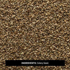 Close-up of Frontier Co-op celery seeds highlighting texture and fresh aromatic benefit