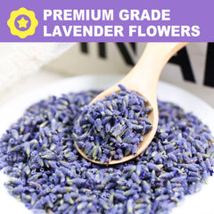 FullChea close-up of dried lavender buds showing color and natural fragrance benefit