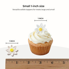 Global Sugar Art daisies on cupcakes adding instant elegant decoration