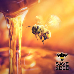 GloryBee drizzling honey into tea, showing flavor enhancement and convenience