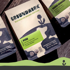Groundwork beans spread on table with measuring spoon to show portion and scale