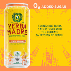 Detail of yerba mate leaves and beverage froth illustrating natural ingredients and balanced stimulation
