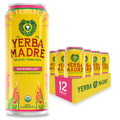 Guayaki Watermelody front can showing vibrant label and serving suggestion benefit