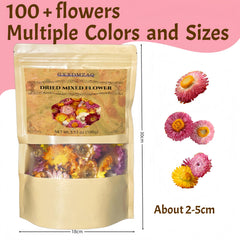 GXXDMZAQ close-up of chrysanthemum texture highlighting whole petals and pure quality