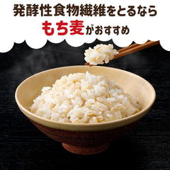 Hakubaku close-up texture of glutinous pearled barley showing chewy grain benefit