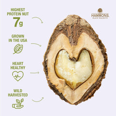 Hammons close-up of walnut texture highlighting bold crunch and rich flavor