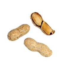 Hampton Distribution peanuts beside a ruler showing scale, demonstrates size and generous quantity