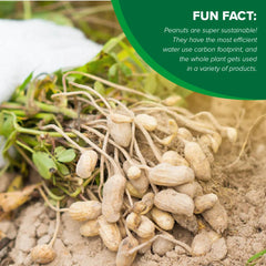 Hampton Farms peanuts next to a ruler demonstrating jumbo size and value