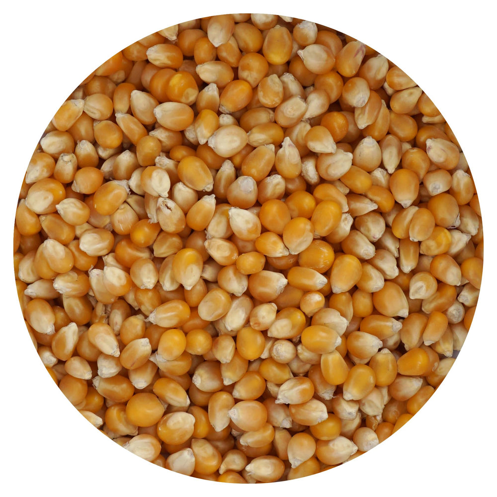 The Hampton Popcorn Company front of bag showing 2 lb mushroom kernels and product labeling, clear branding benefit