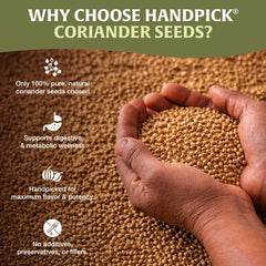HANDPICK wooden spoon with coriander seeds highlighting portion use