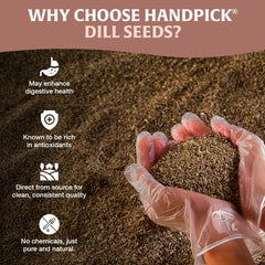 HANDPICK close-up of dill seed texture highlighting aromatic oils