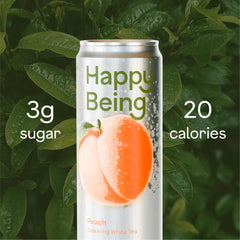 happy being ingredients display with turmeric elderberry and peach for antioxidant support