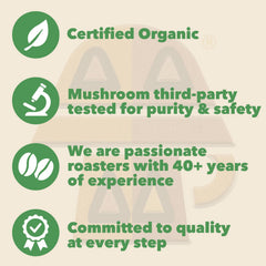 Harmonic Grounds mushroom extract powder detail highlighting fruiting-body blend and purity