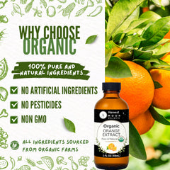 Harvest Moon Delights extract dropper releasing a drop into a glass demonstrating easy dosing benefit