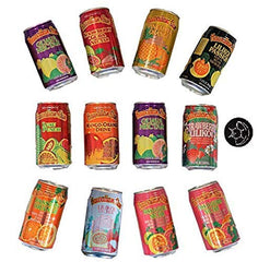 Hawaiian Sun front packaging showing all 12 bottles and flavor variety, appealing assortment