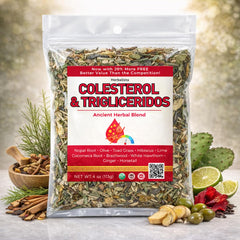 HERBALISTA loose leaf blend close-up revealing texture and aroma