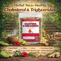 HERBALISTA teacup steeping a hot infusion for comforting daily ritual