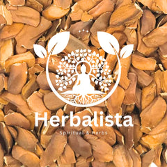 HERBALISTA glass teapot brewing Venadillo seeds showing easy preparation