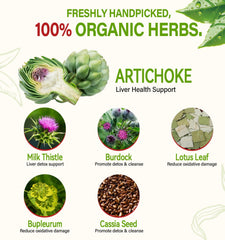 HerbOLITHIC brewed cup of artichoke tea showing warm color and aroma