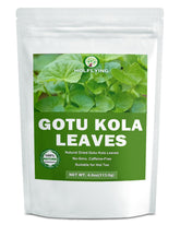 HOLFLYING front packaging showing 4.0 oz bag and product identity, clear shelf appeal